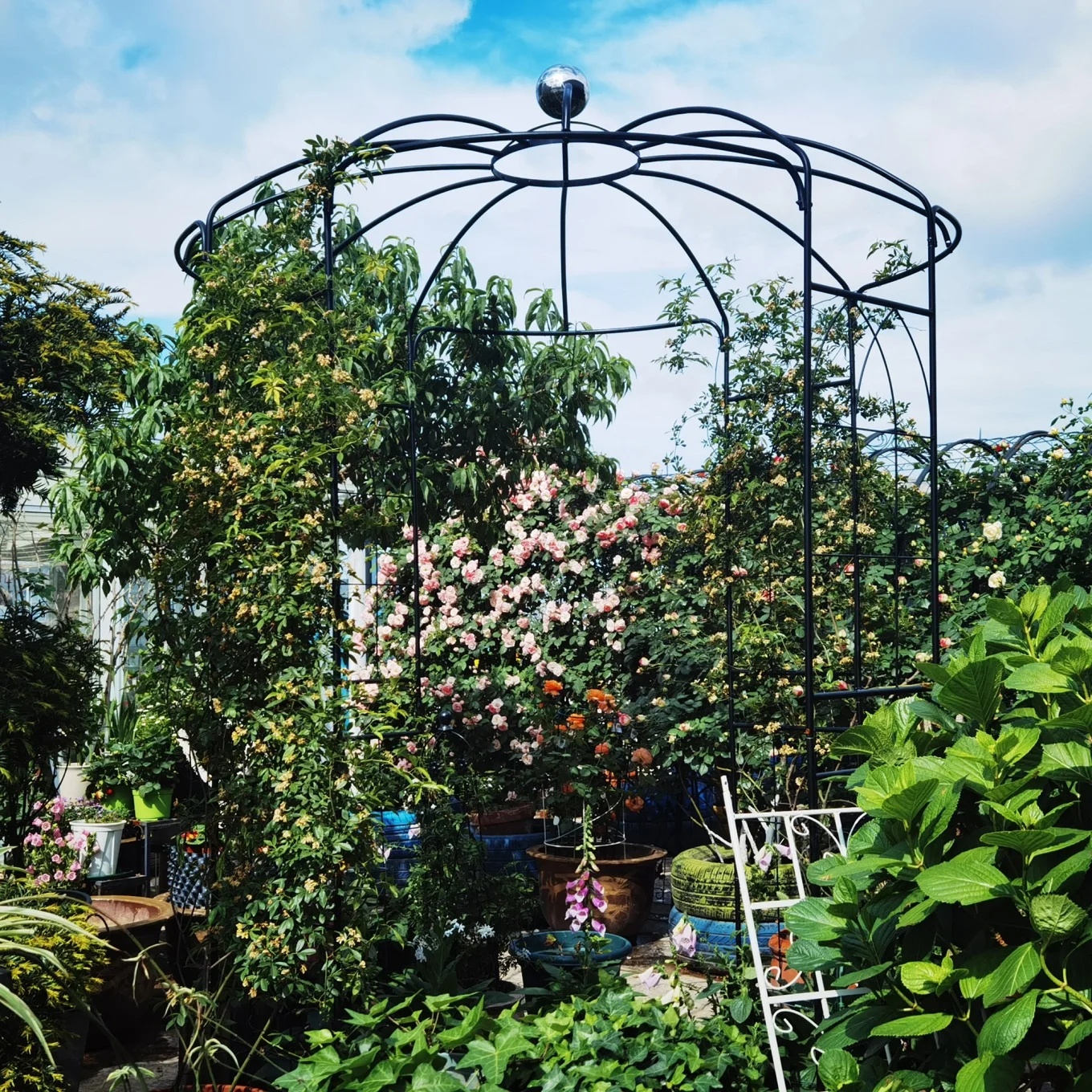 French Birdcage Gazebo with Metal Arch Trellis for Wedding Photography & Garden Decor, Sturdy Galvanized Steel, Black - Image 5
