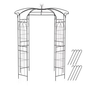 Canddidliike 2-In-1 Gazebo Trellis, French Style Arch, Birdcage Shape Gazebo for Climbing Plants and Wedding Ceremony Decoration, Black