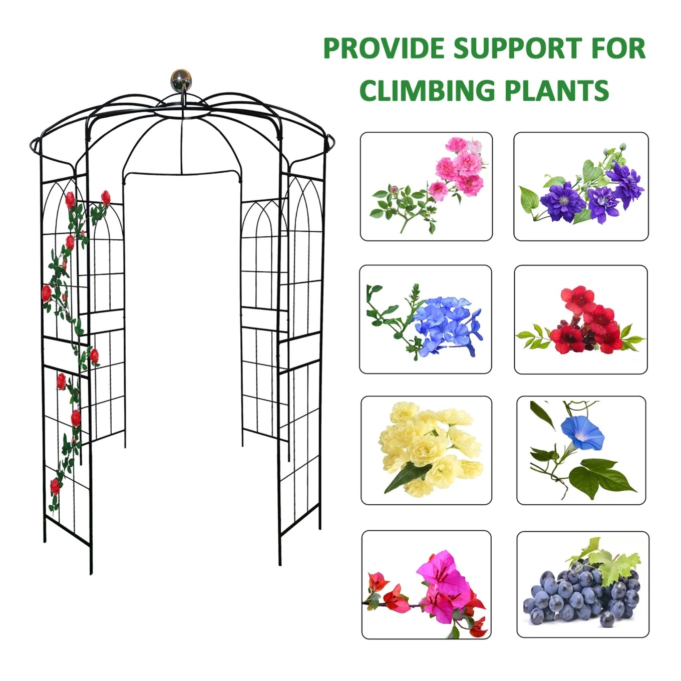French Birdcage Gazebo with Metal Arch Trellis for Wedding Photography & Garden Decor, Sturdy Galvanized Steel, Black - Image 9