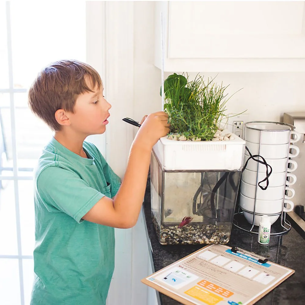 Back to the Roots 3 Gal. Self-Cleaning Aquaponic Water Garden Fish Tank Aquarium - Image 5