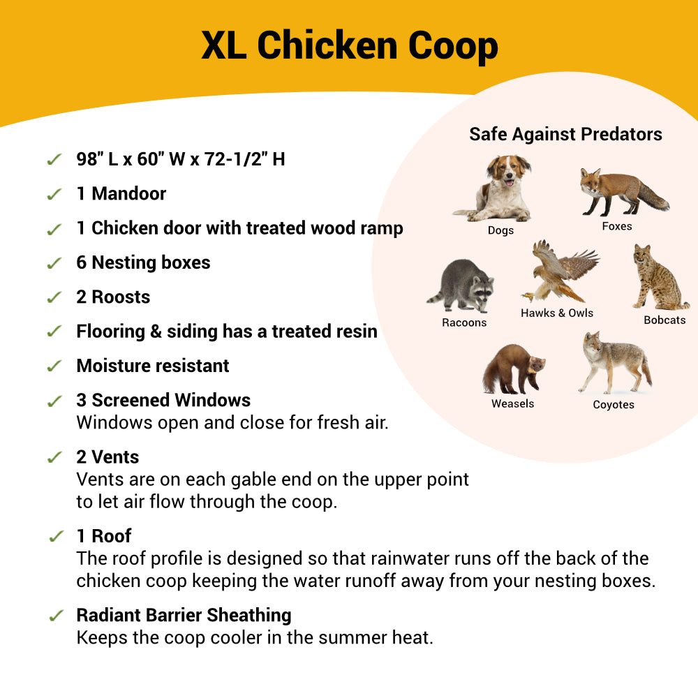 XL Chicken Coop - Up to 20 Chickens - Image 4