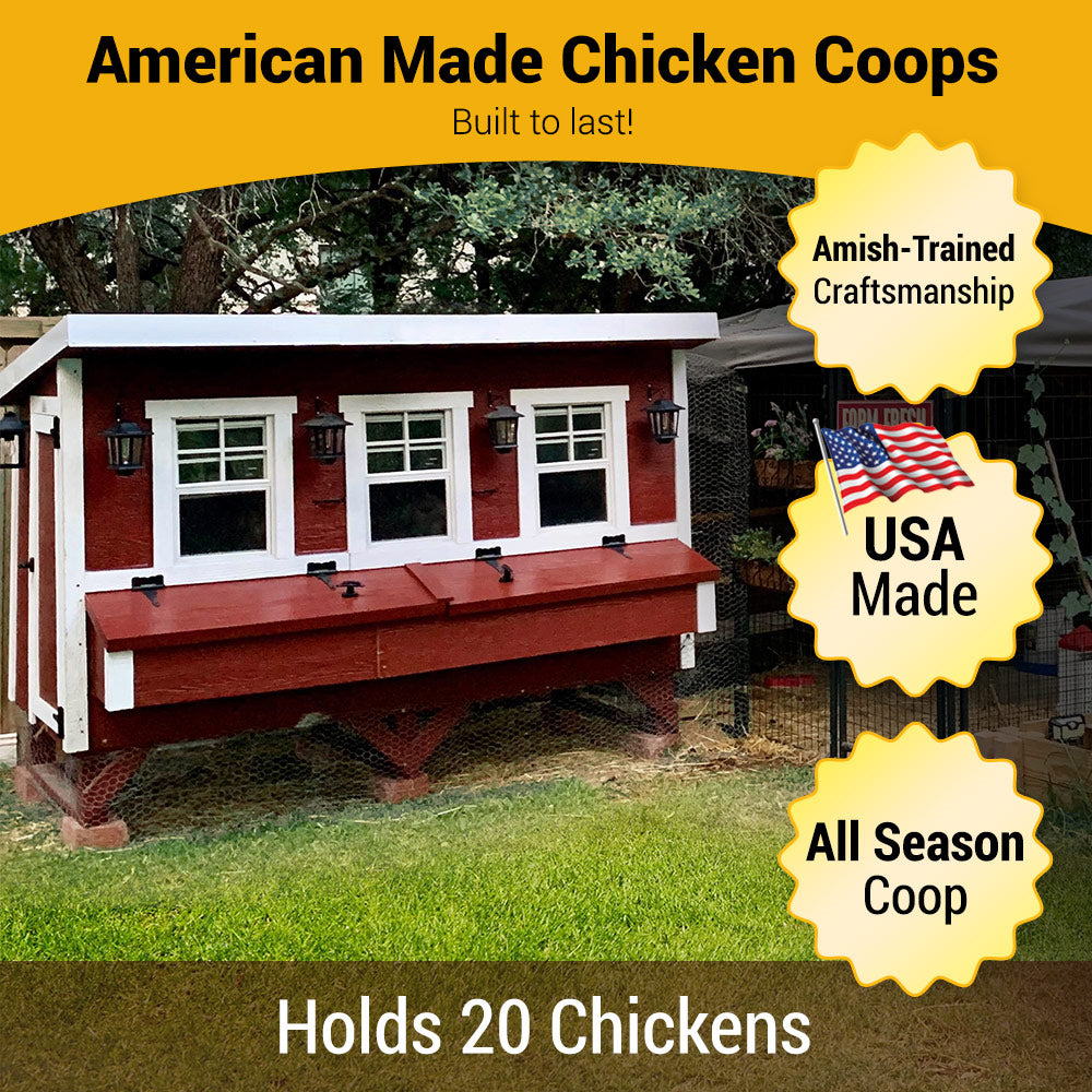 XL Chicken Coop - Up to 20 Chickens - Image 2
