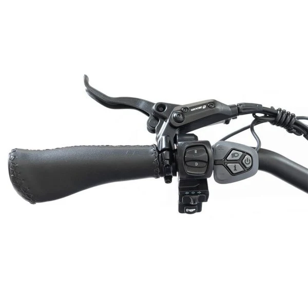 20 48V/14AH 750W Foldable Fat Tire Electric Trike, 330LBS - Image 4